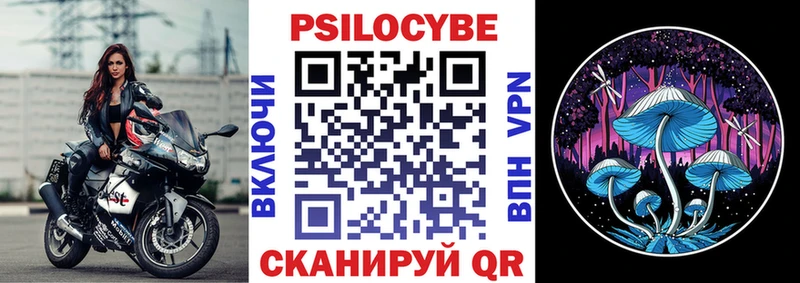 где купить наркоту Миллерово Псилоцибиновые грибы Cubensis
